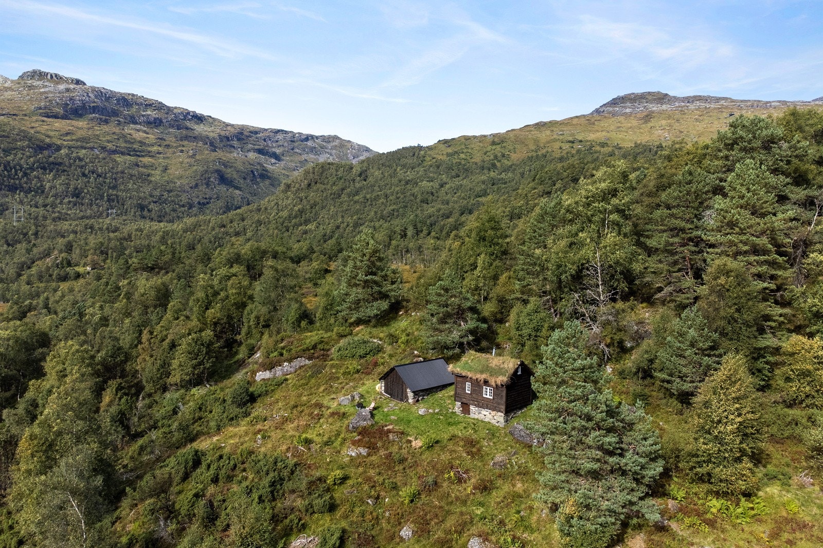 Nydelige omgivelser Galleribilde