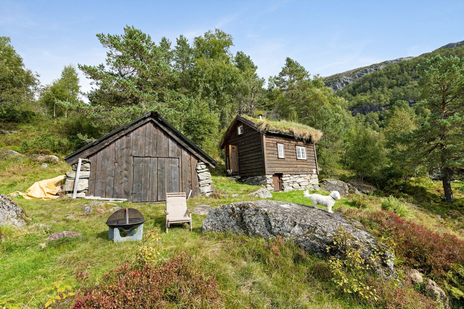 Naturtomt Galleribilde