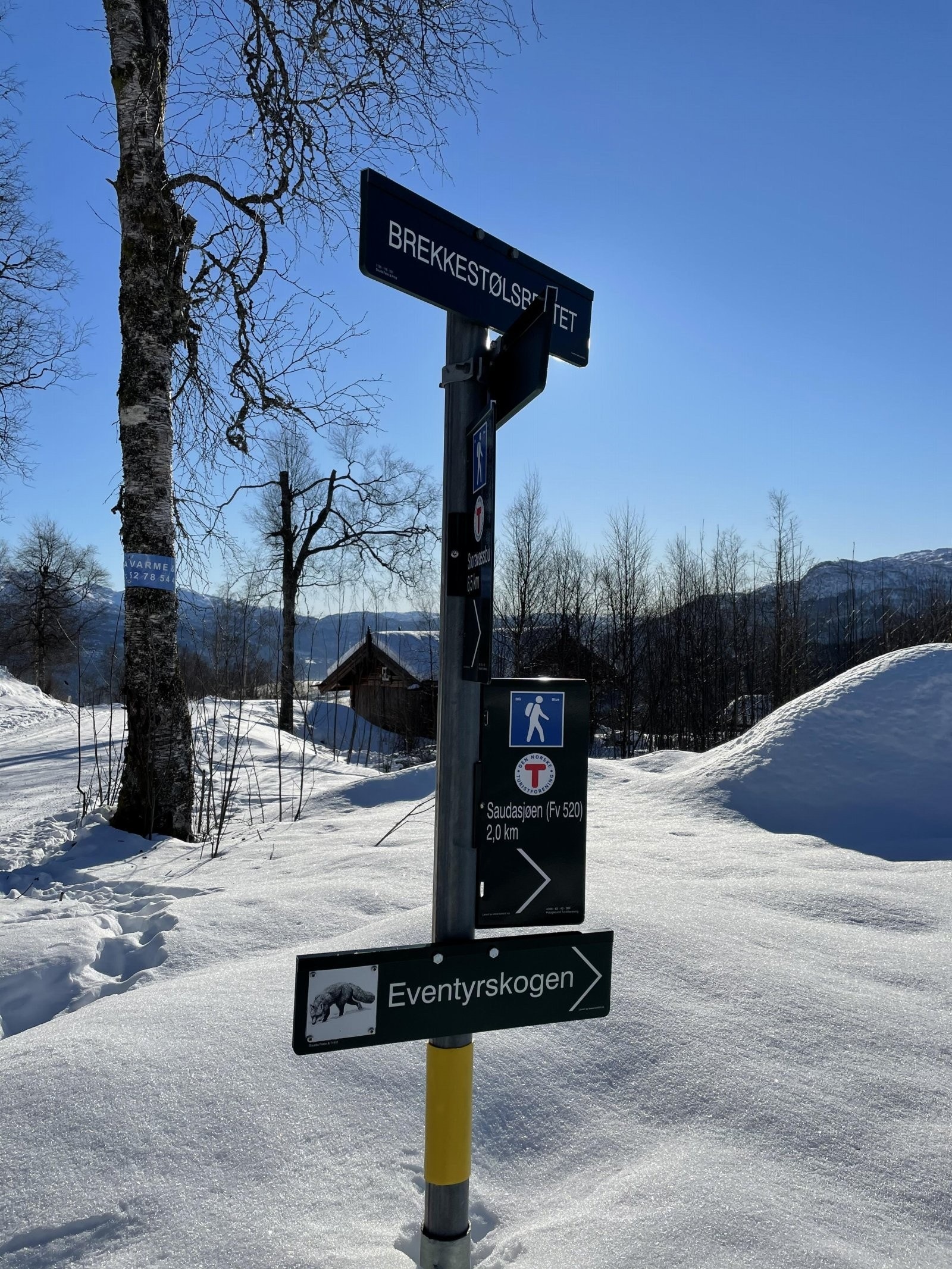 Turområde Galleribilde