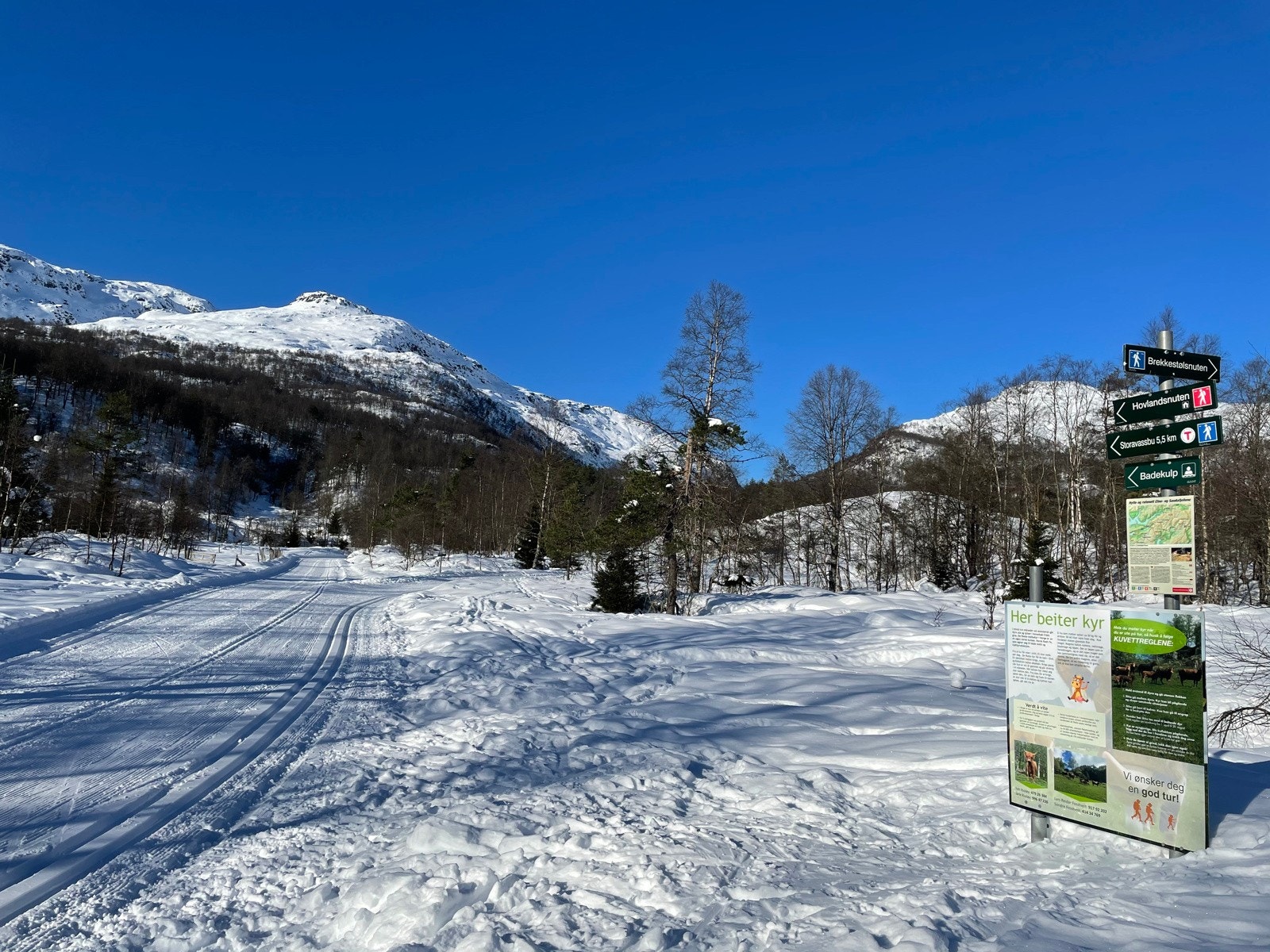Turområde Galleribilde
