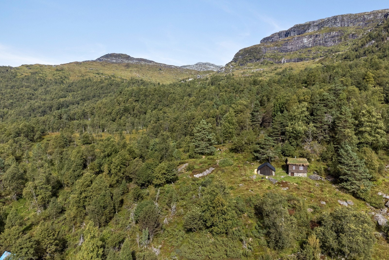 Midt i turterrenget Galleribilde