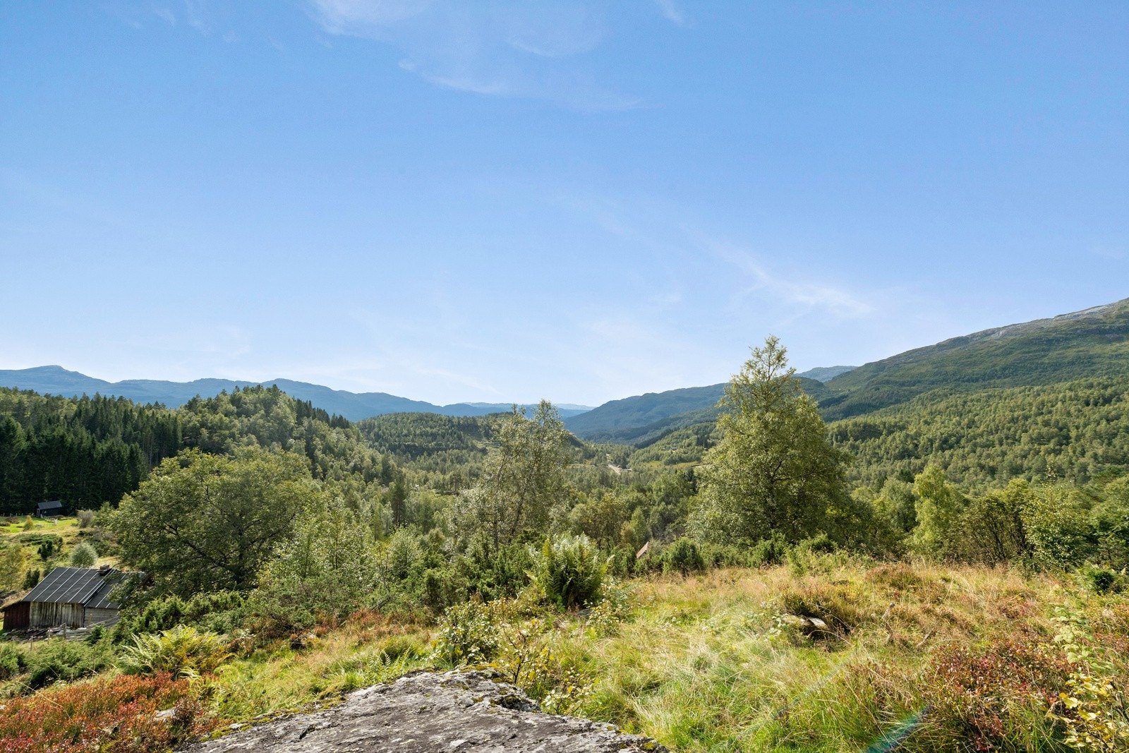 Fantastisk utsikt! Galleribilde