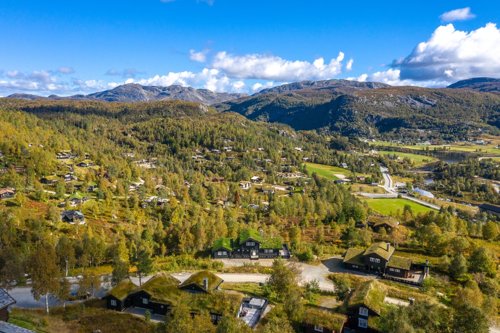 Området Galleribilde