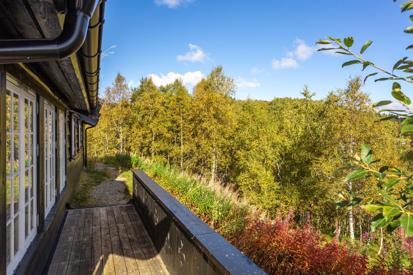 terrasse også mot øst Galleribilde