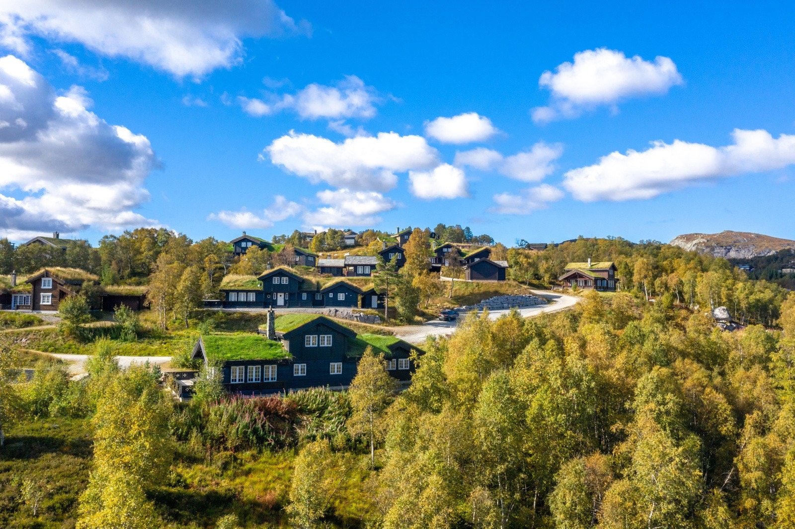 Området Galleribilde