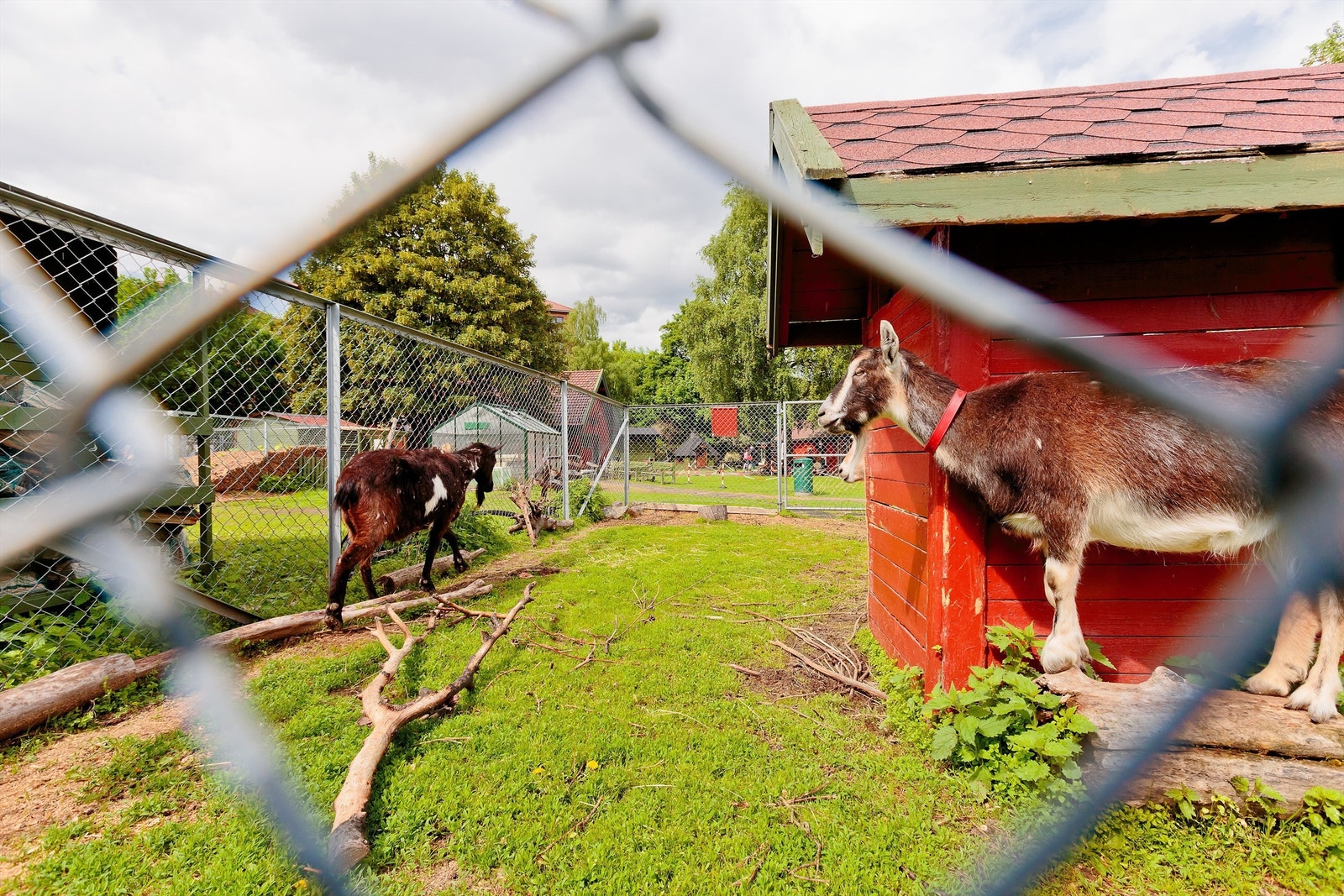 Kampen Økologiske bondegård er også i nærområde Galleribilde