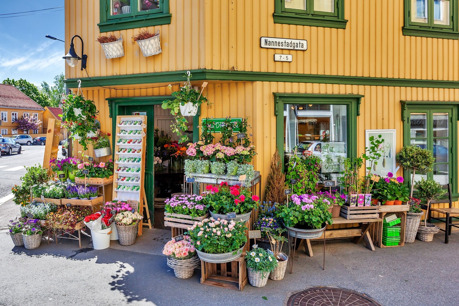 Blomsterenga på Kampen - her får du alt fra planter og potter til alle typer dekorasjon til alle anledninger Galleribilde