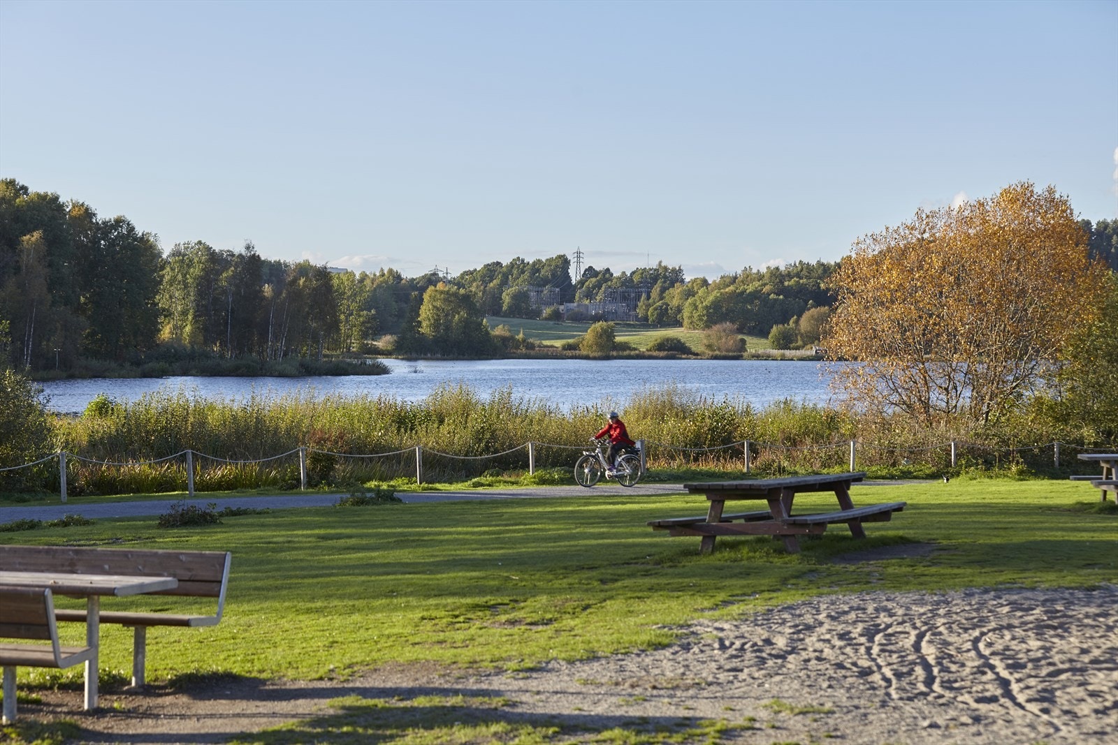 Ved Østensjøvannet kan man observere og komme tett på en mengde ulike fuglearter. Idylliske turmuligheter i nærområdet. Galleribilde