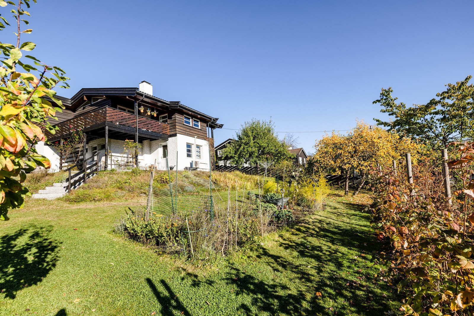 Velkommen til visning! Galleribilde