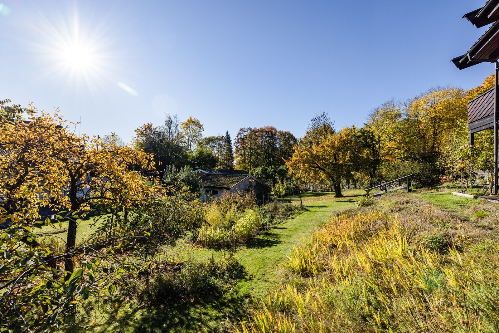 Idyllisk og solrik hage som er pent opparbeidet med beplanting Galleribilde