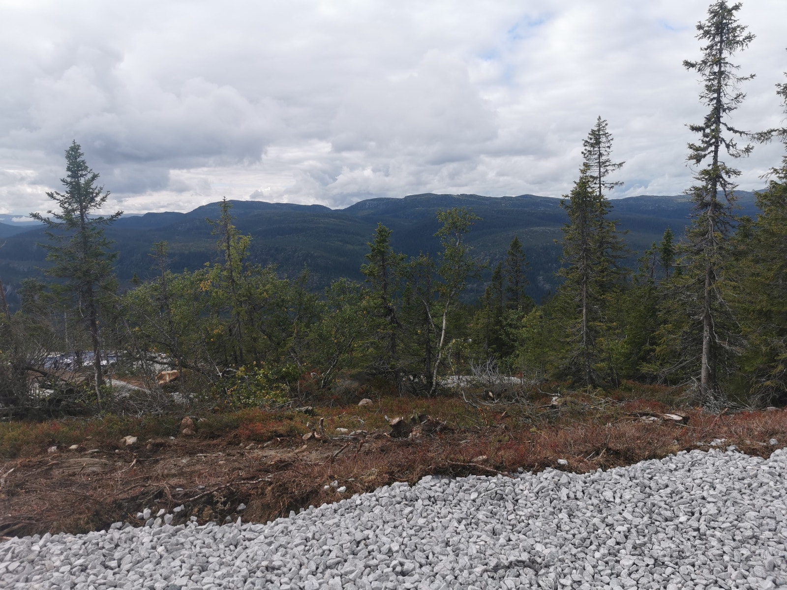 Bildet er tatt fra tomta Galleribilde