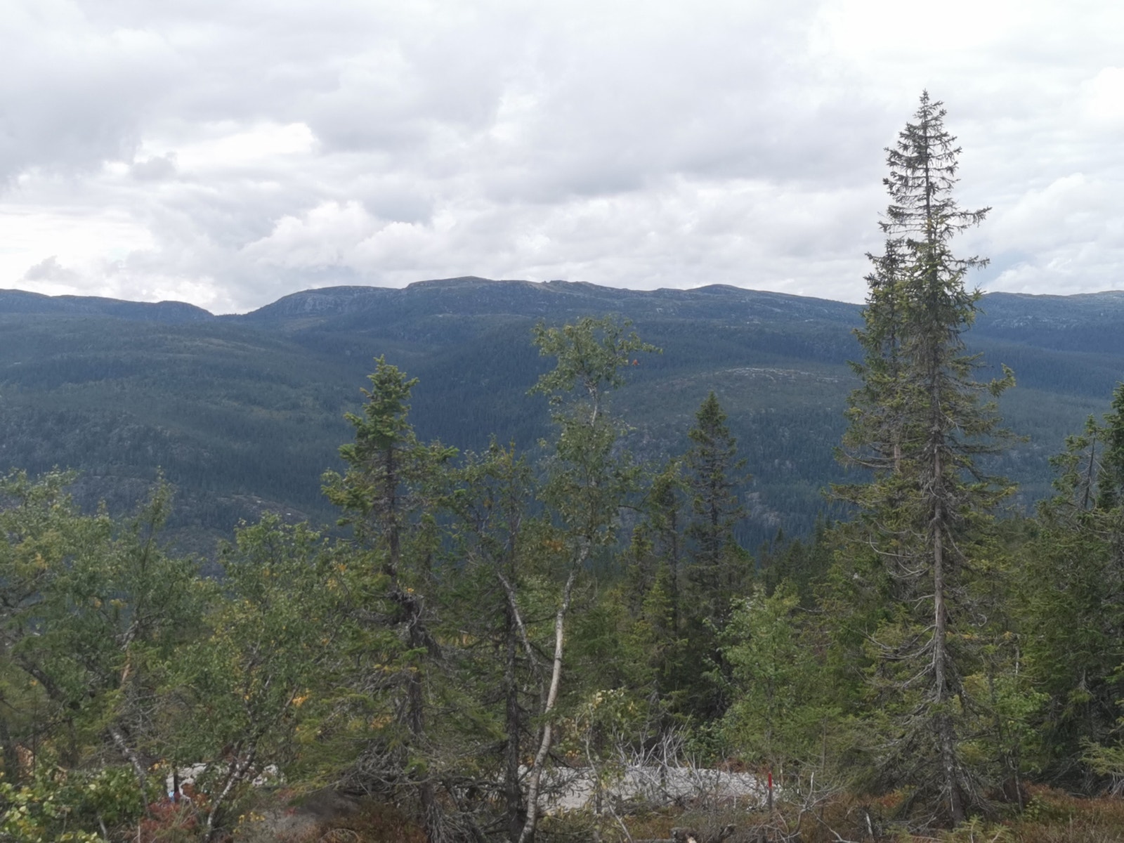 Flott utsikt mot vest. Galleribilde