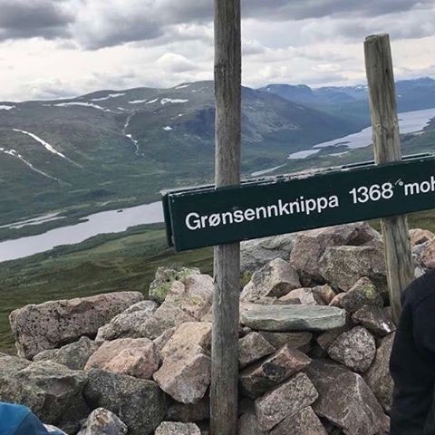 Grønsennknippa 1368 moh Galleribilde