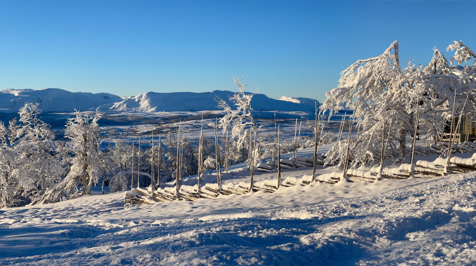 Bilde i retning av Gilafjell Galleribilde
