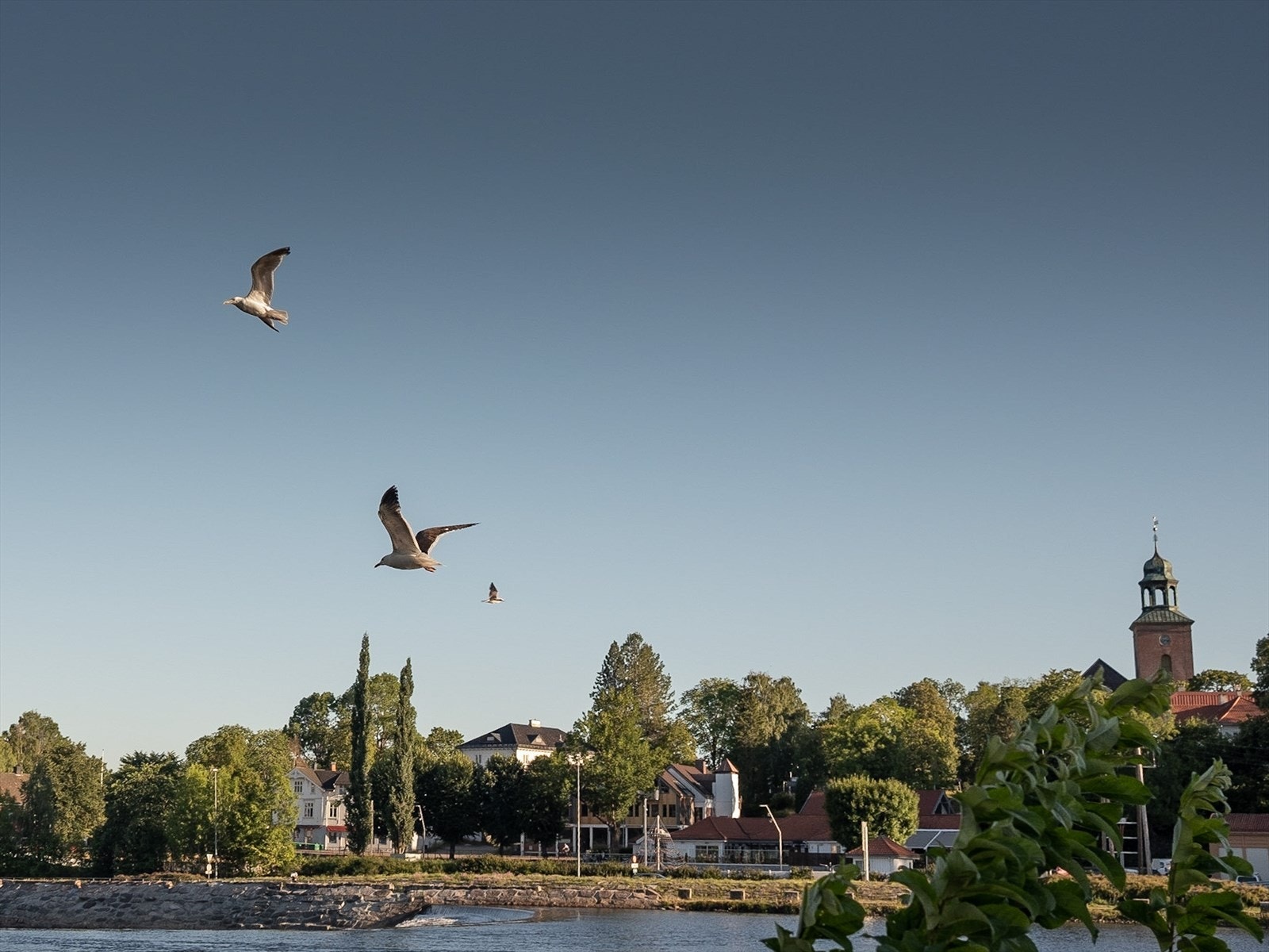 Nærområde i Kongsberg Galleribilde
