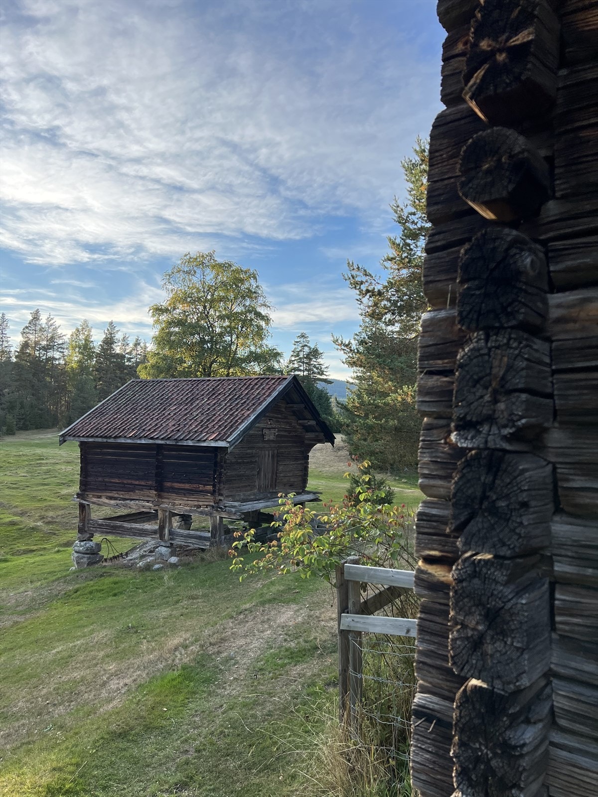 Aspesetra Galleribilde