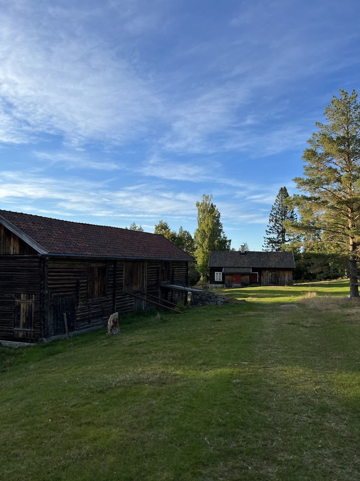 Aspesetra Galleribilde