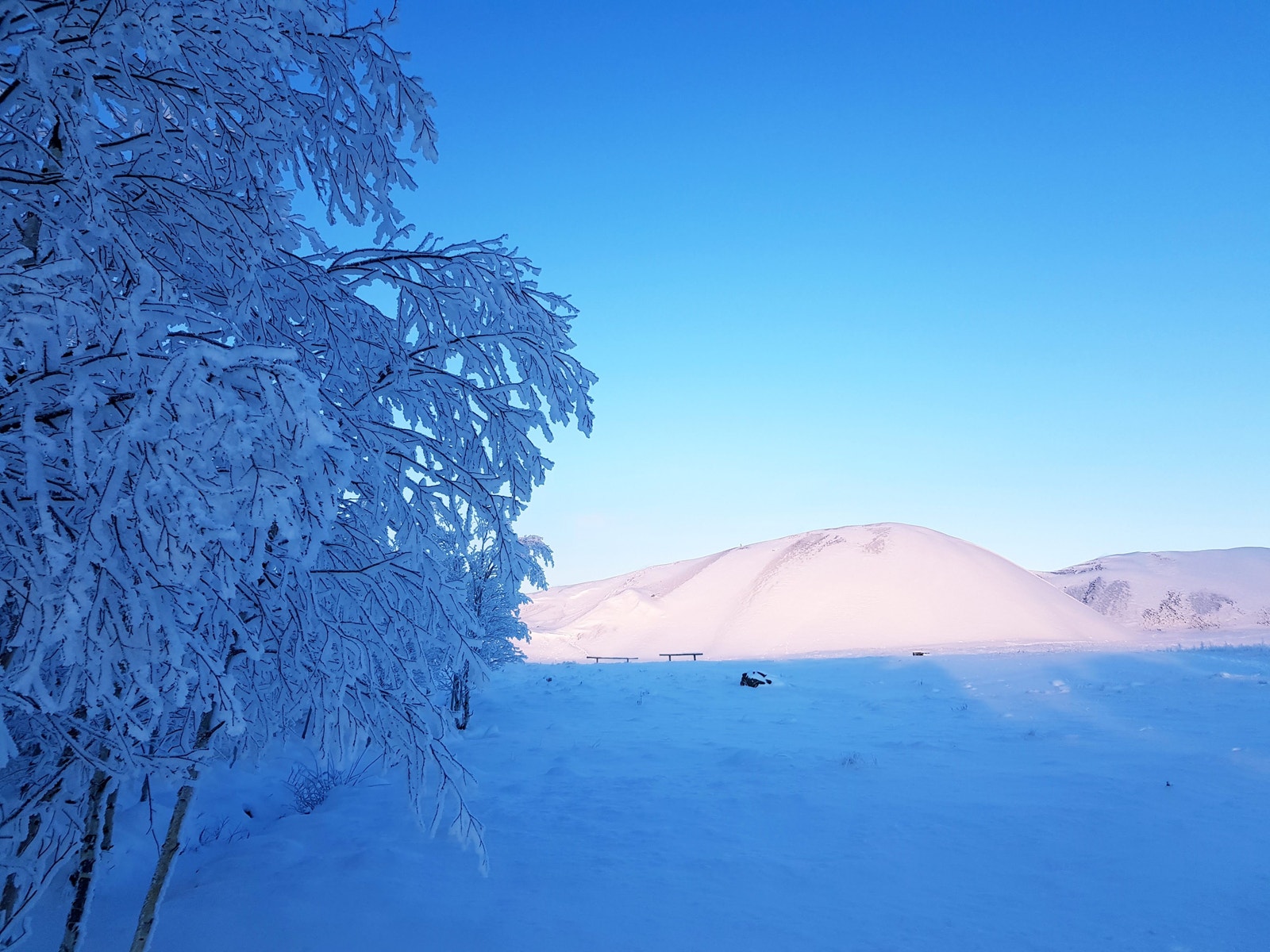 Slegghaugan på Røros Galleribilde