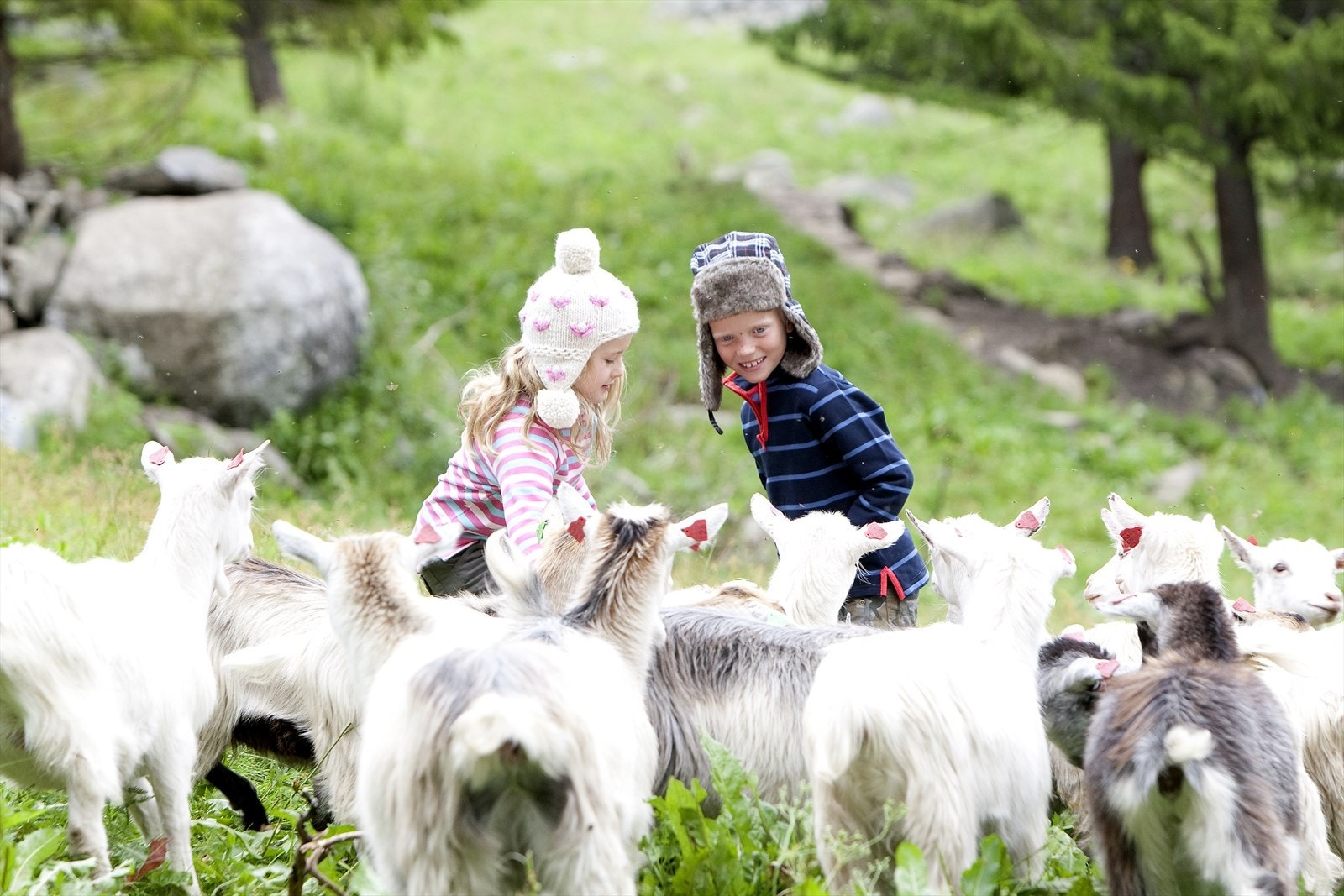Hemsedal er en god tradisjonell landbruksbygd. Dette sørger for jomfruelig natur hvor både to - og firbeinte ferdes om hverandre. Galleribilde