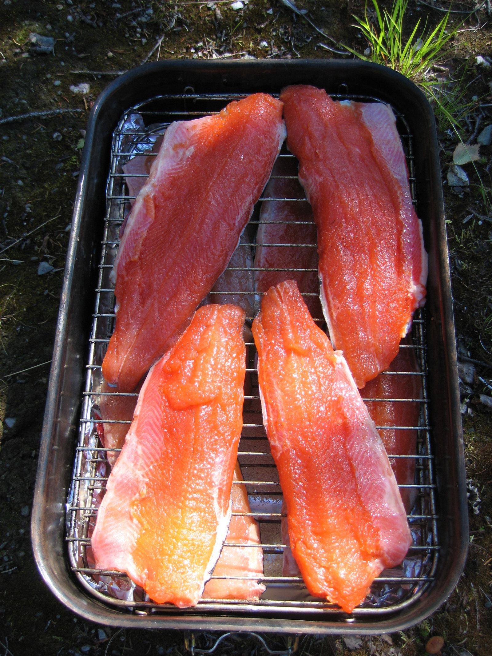 Gode muligheter for fiske i nærområdet Galleribilde