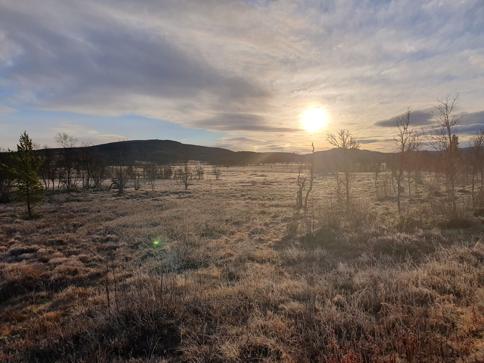 Bildet tatt fra tomten 10.11.22 Galleribilde