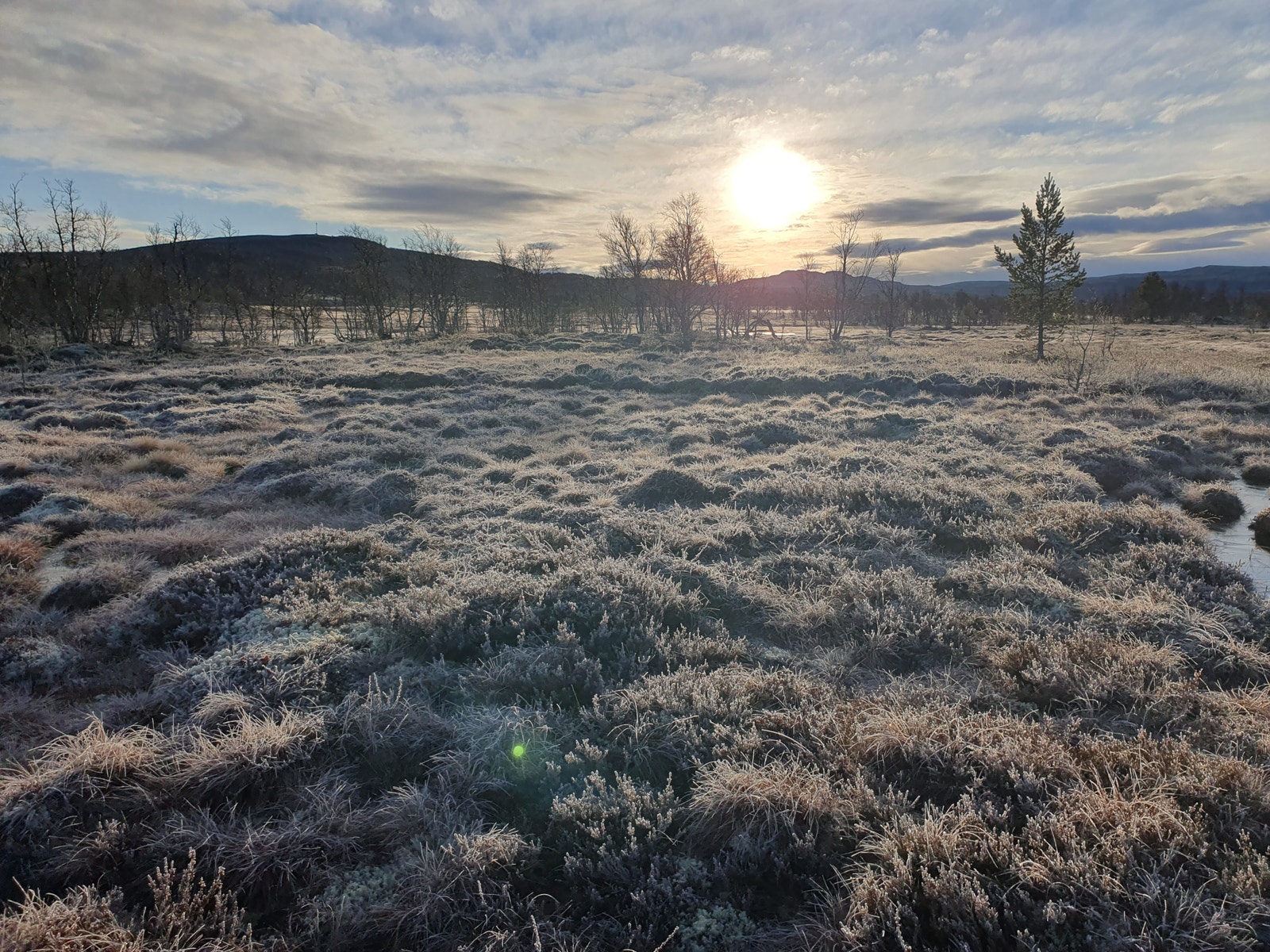 Bildet fra nederkant av tomt 10.11.22 Galleribilde