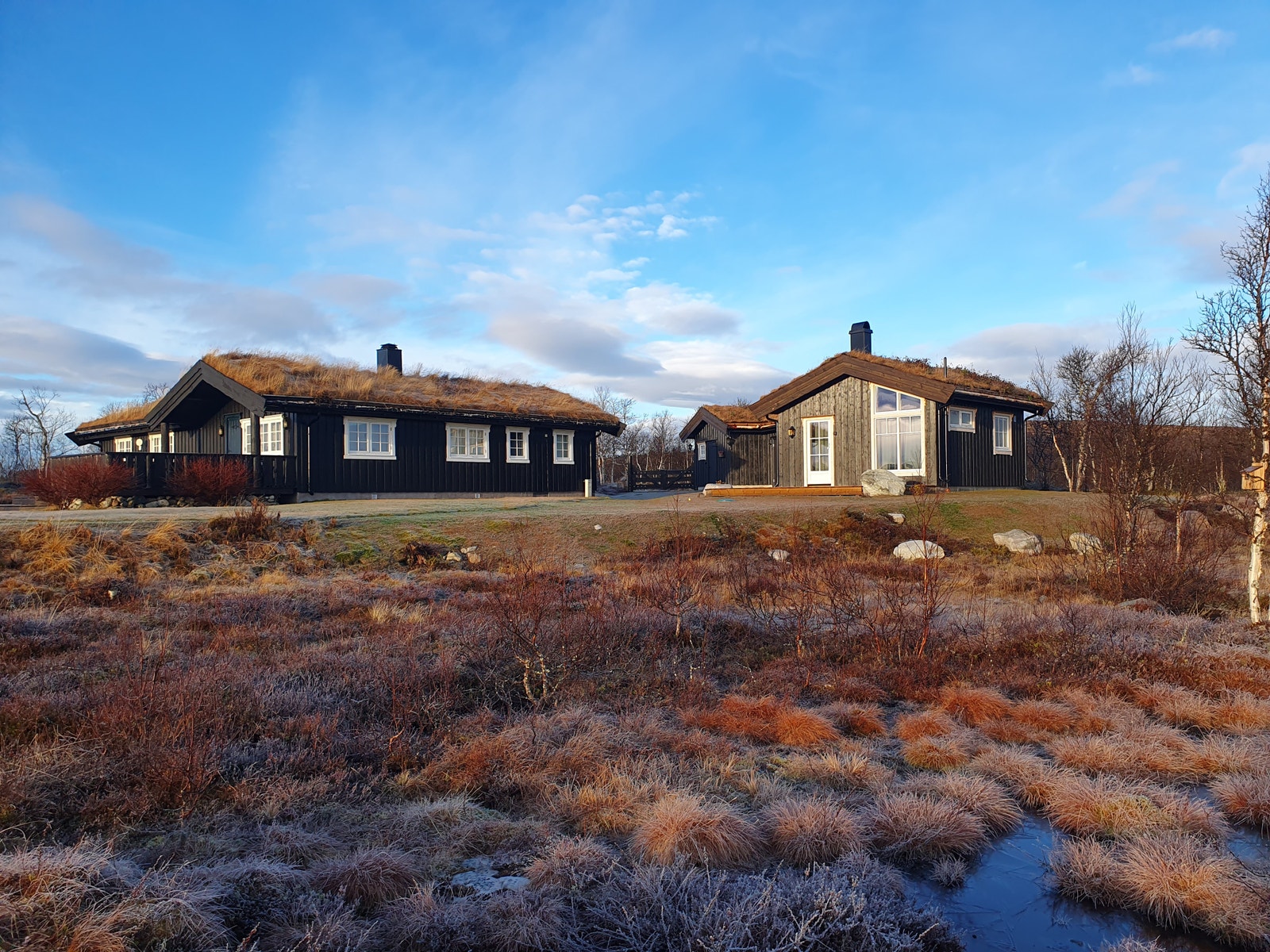 Bildet tatt inn mot feltet av naboeiendom for å visualisere mulig plassering i terrenget. Galleribilde
