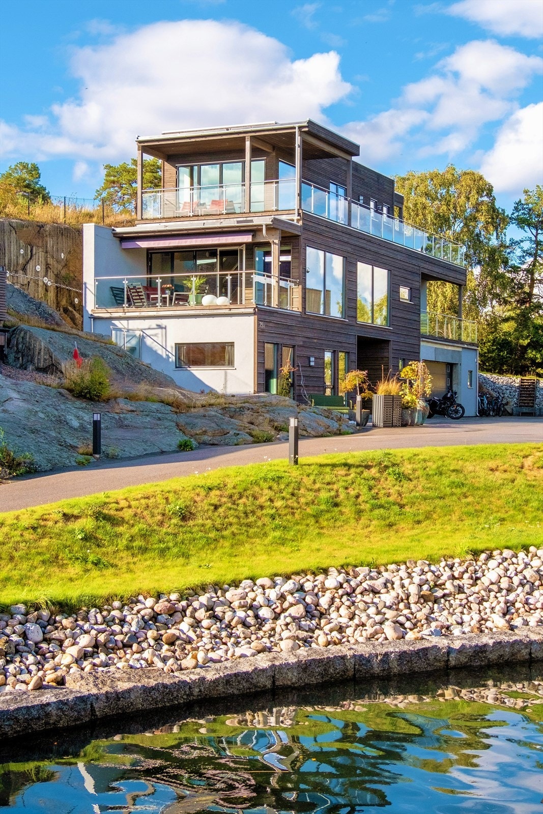 Stor fare for svanemating fra hagen Galleribilde