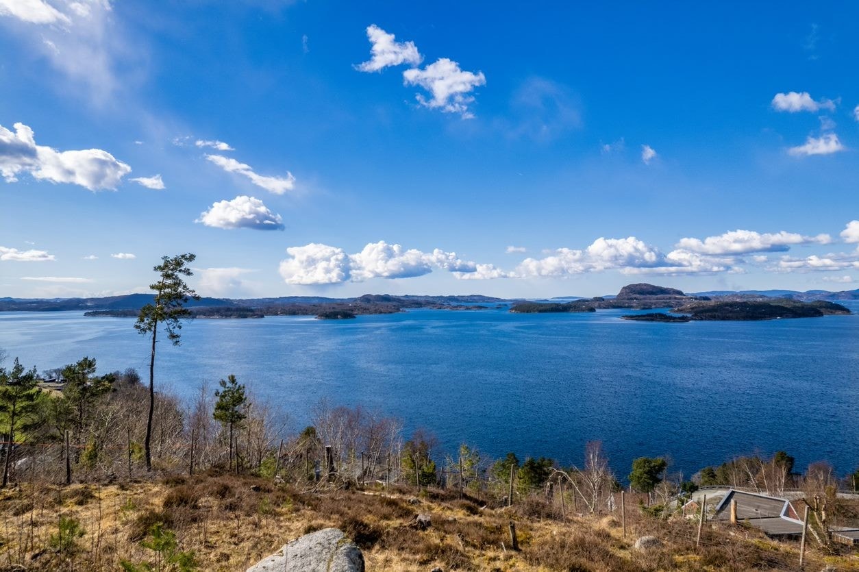 Utsikt fra tomten Galleribilde