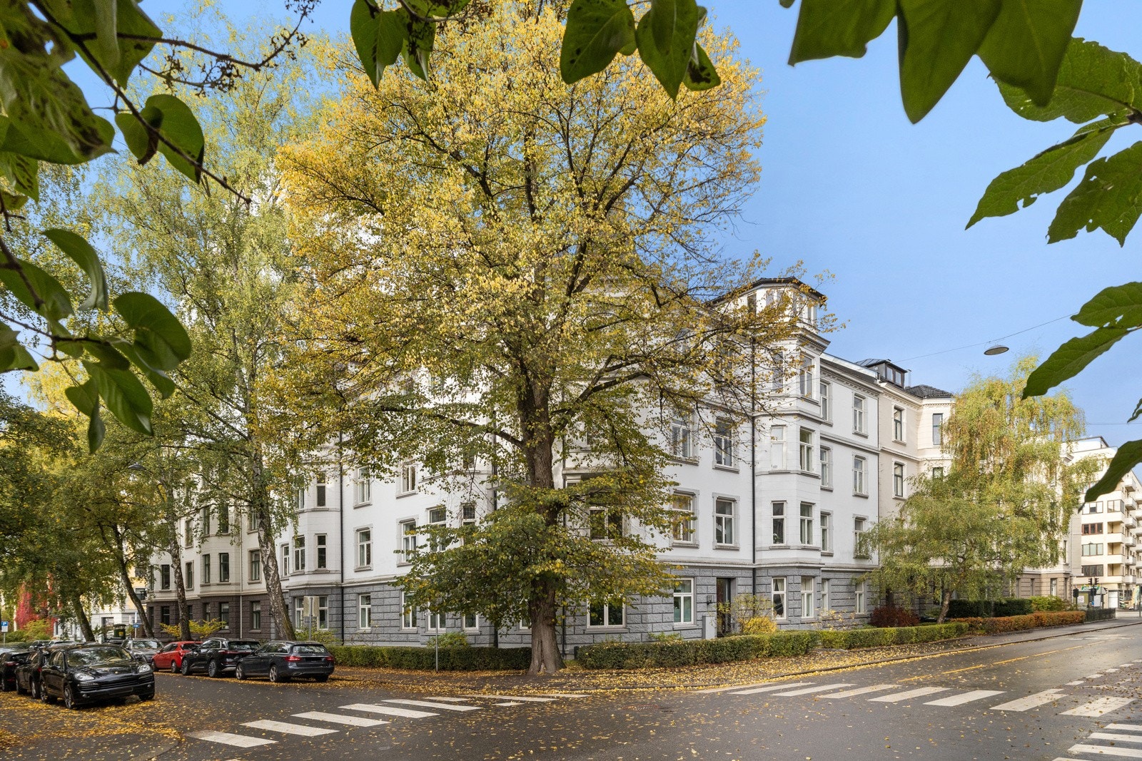 Fasade. Galleribilde