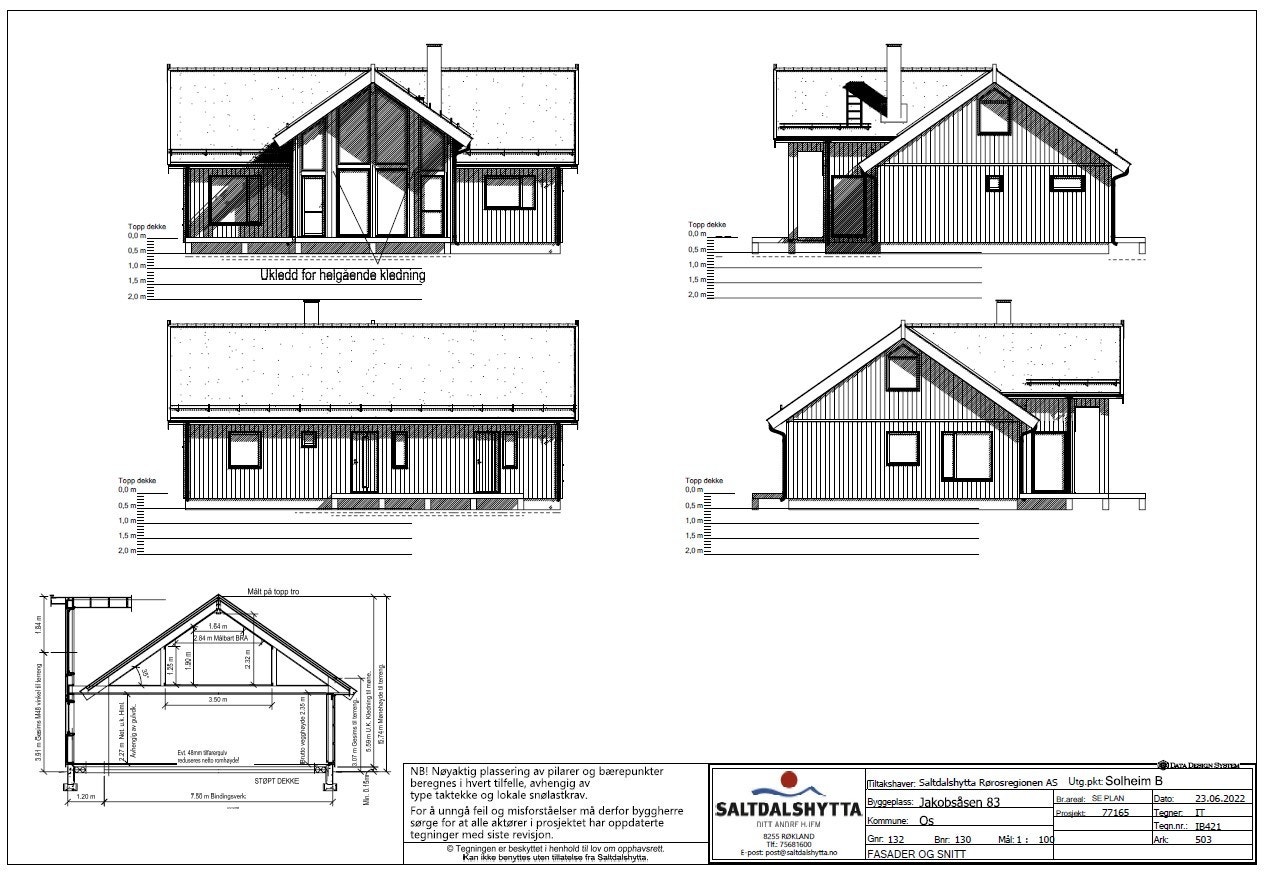 Fasade og snitt. Galleribilde