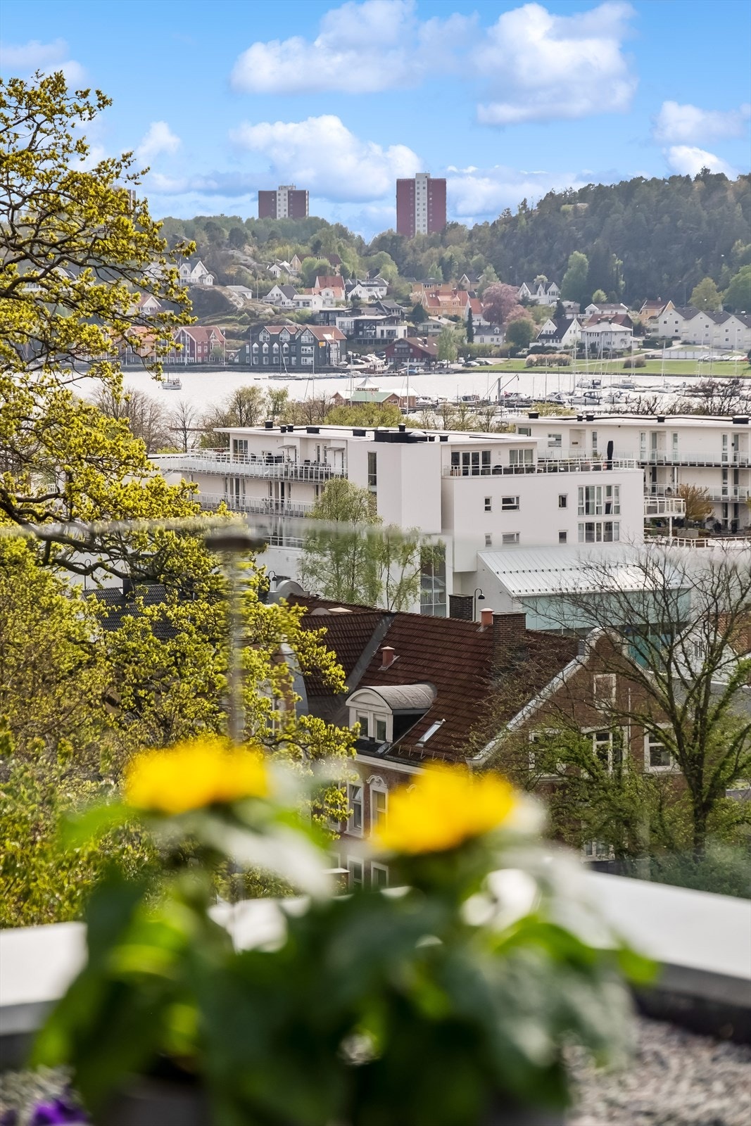 Fra indre havn til Fuglen Fønix Galleribilde