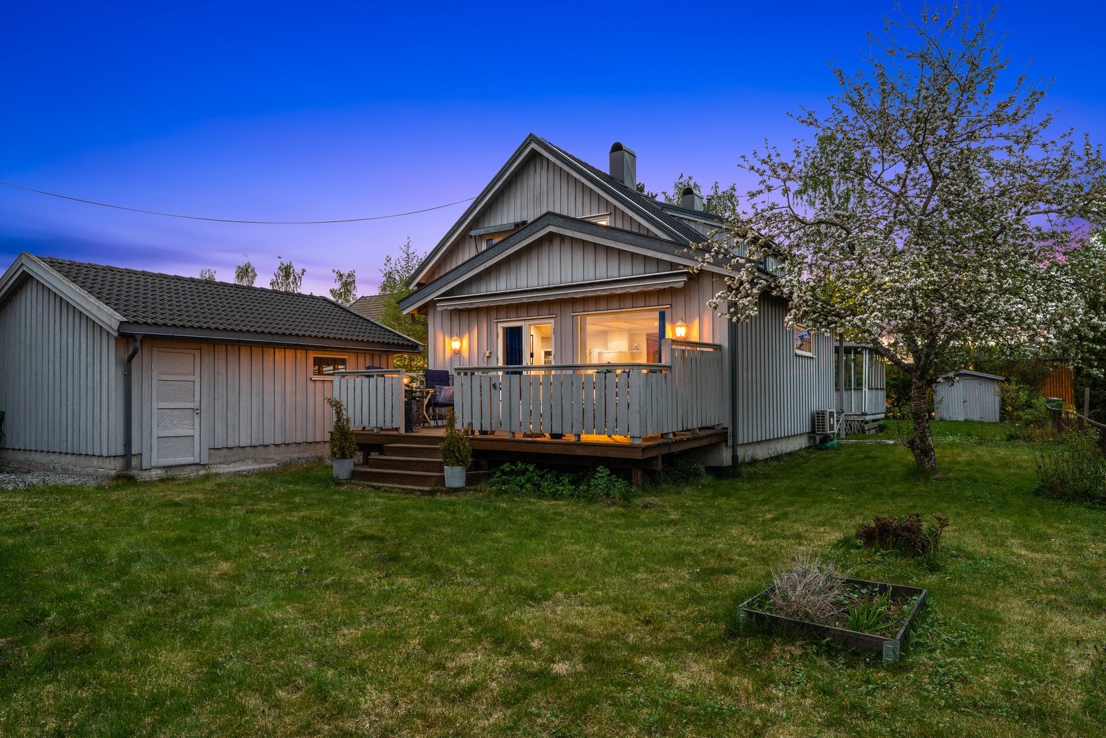 Stor hagedel med gode solforhold Galleribilde