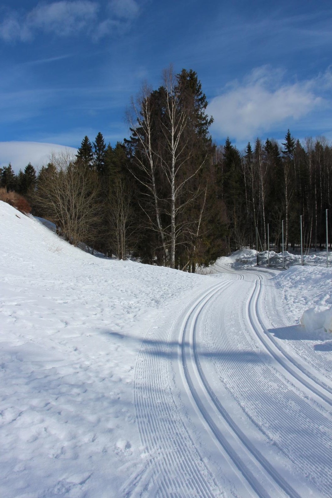 Naturskjønne Østmarka byr på rekreasjonsmulighet sommer og vinter Galleribilde