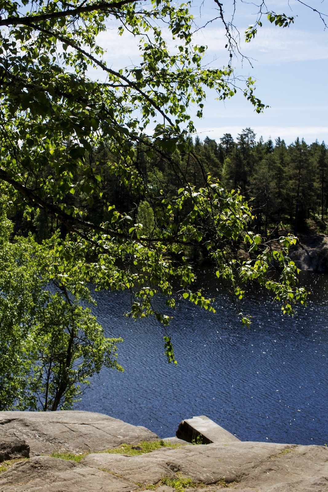 Nøklevann på sommerstid Galleribilde