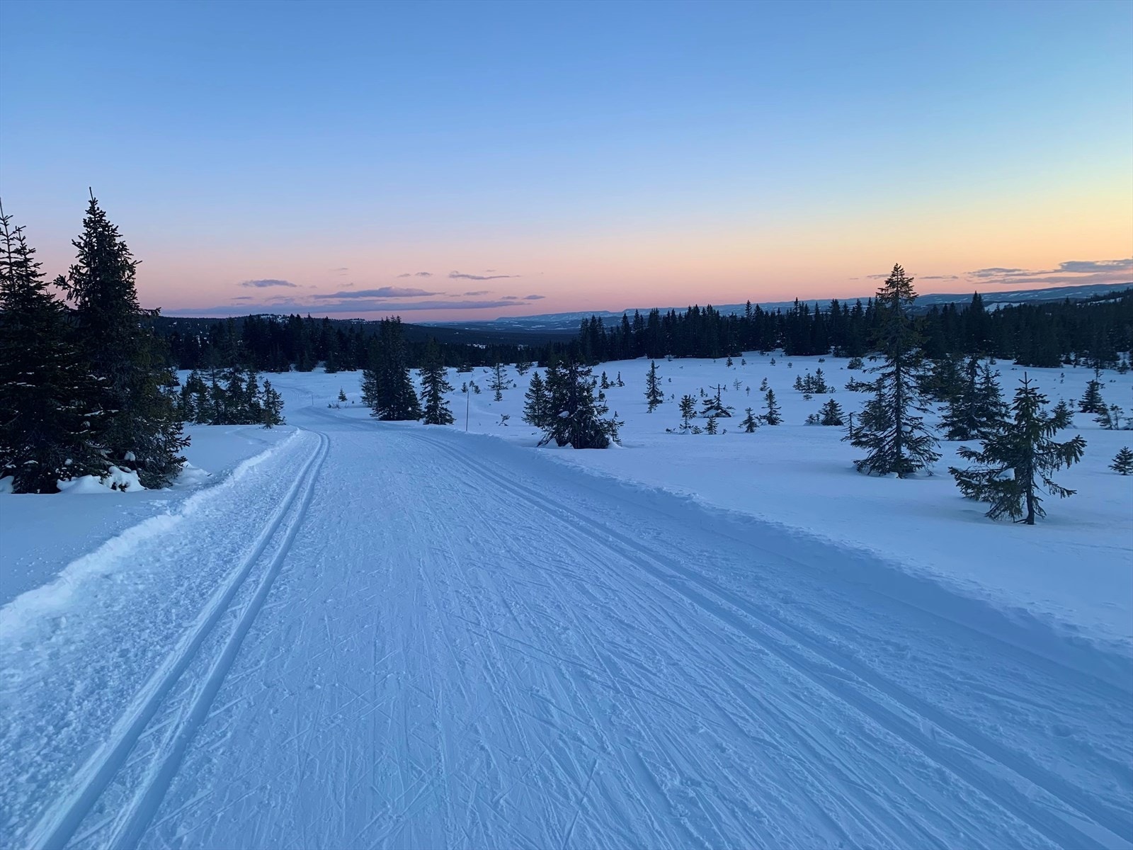 Fra Tronsmyra opp mot Nevelvann. Galleribilde