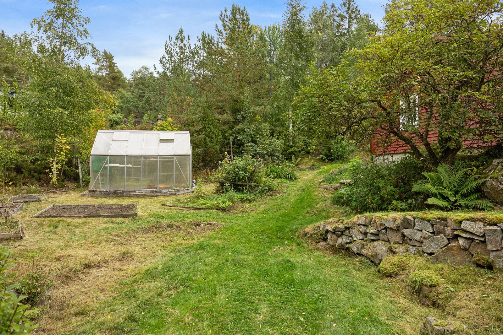 Drivhus på 9m² med muligheter for å dyrke grønnsaker. Galleribilde