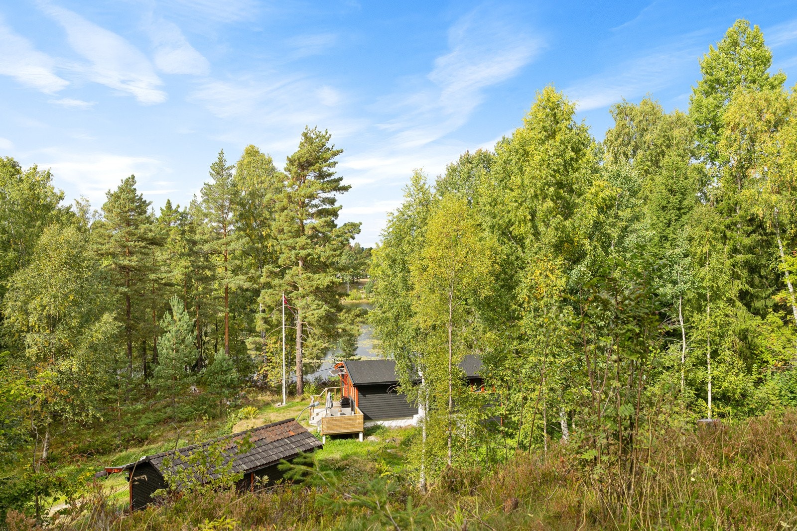 Flott utsikt til grønne skogområder. Galleribilde