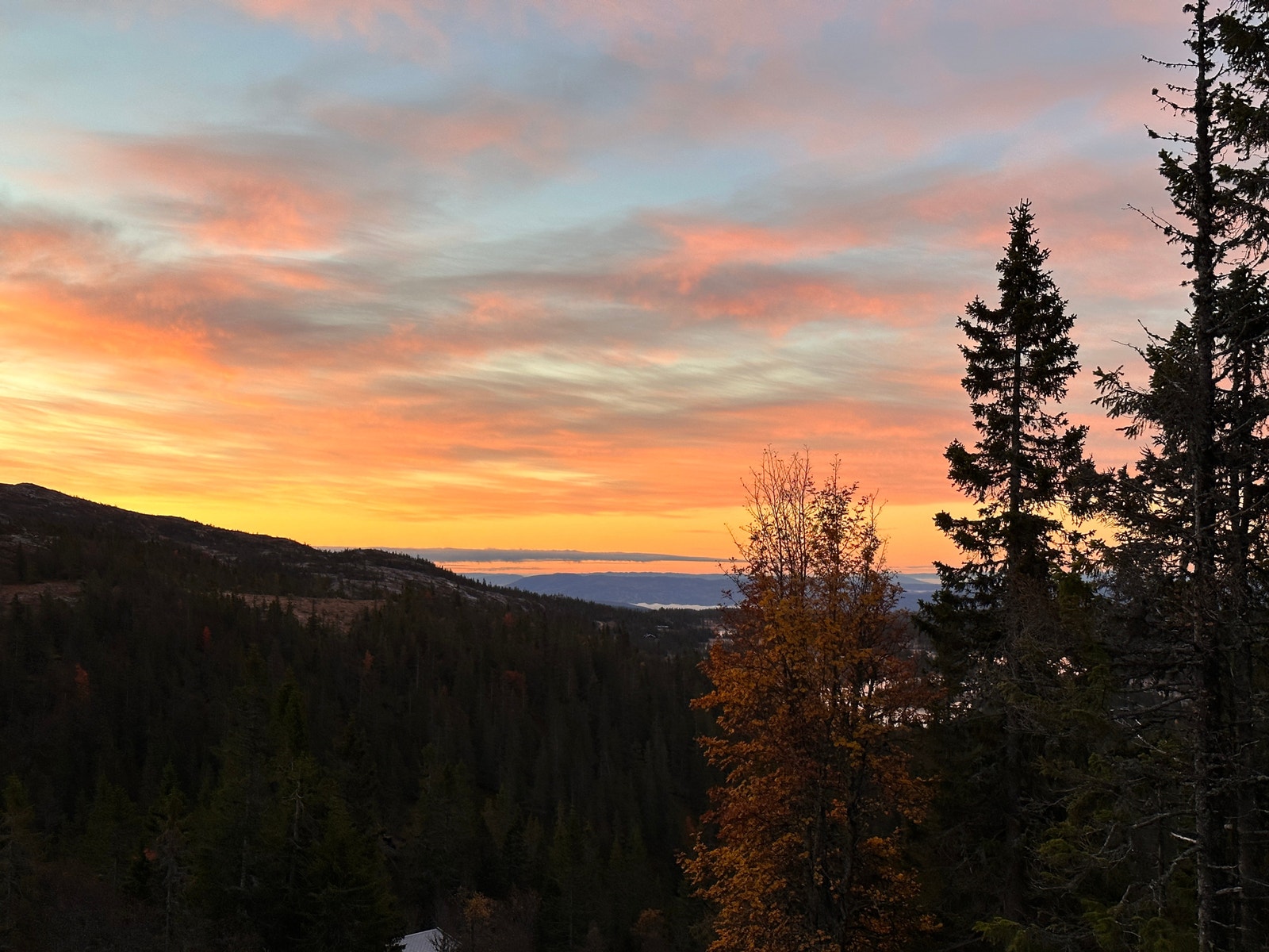 Utsikt sør Galleribilde