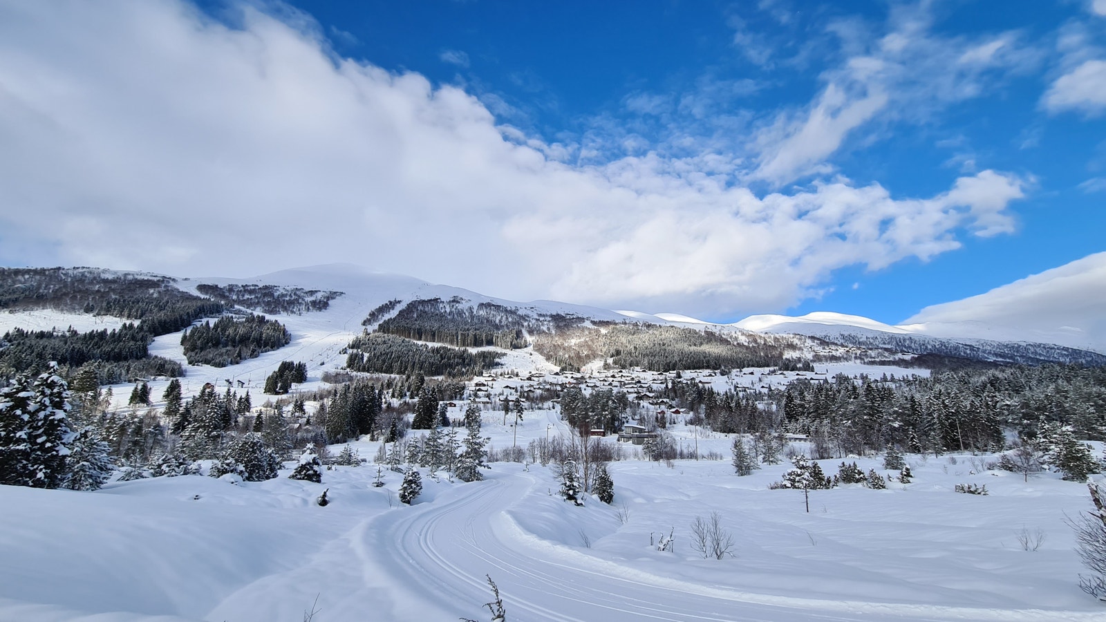 Områdebilde fra langsrennløype Galleribilde
