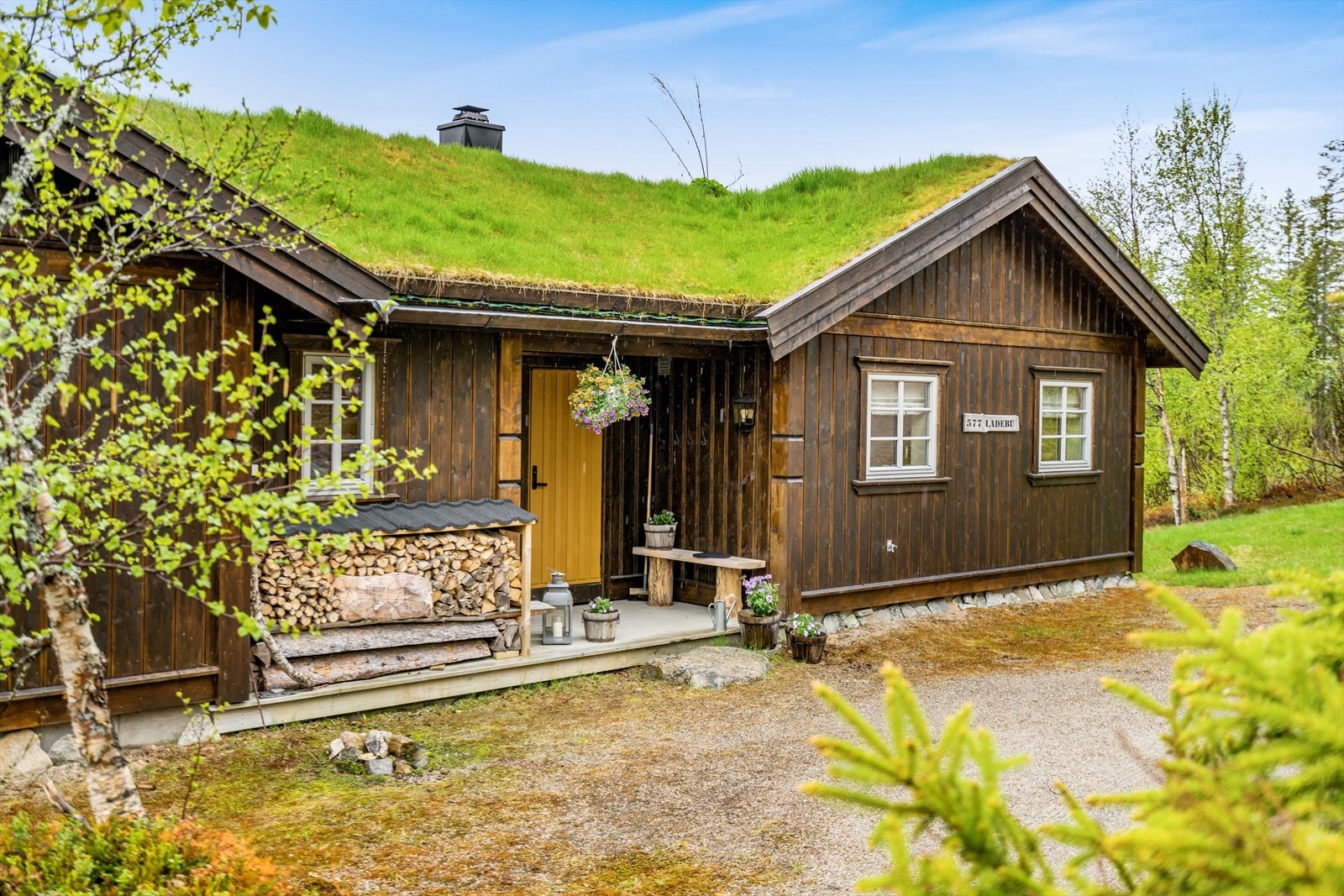 Her har du bilvei helt frem til hytteveggen Galleribilde