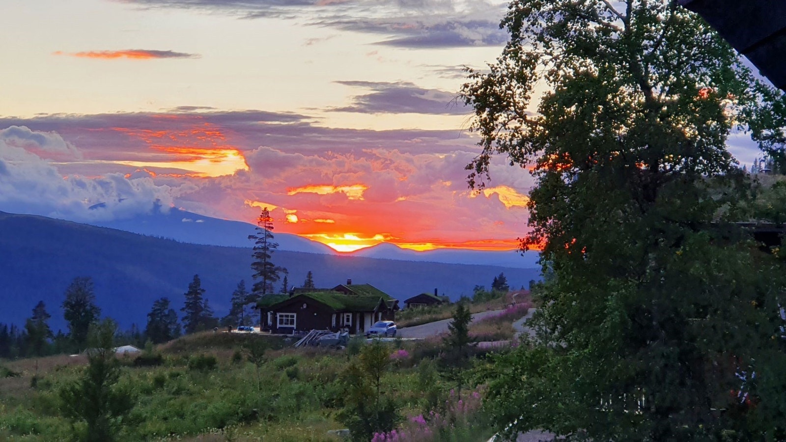 Utsikt fra feltet. Galleribilde