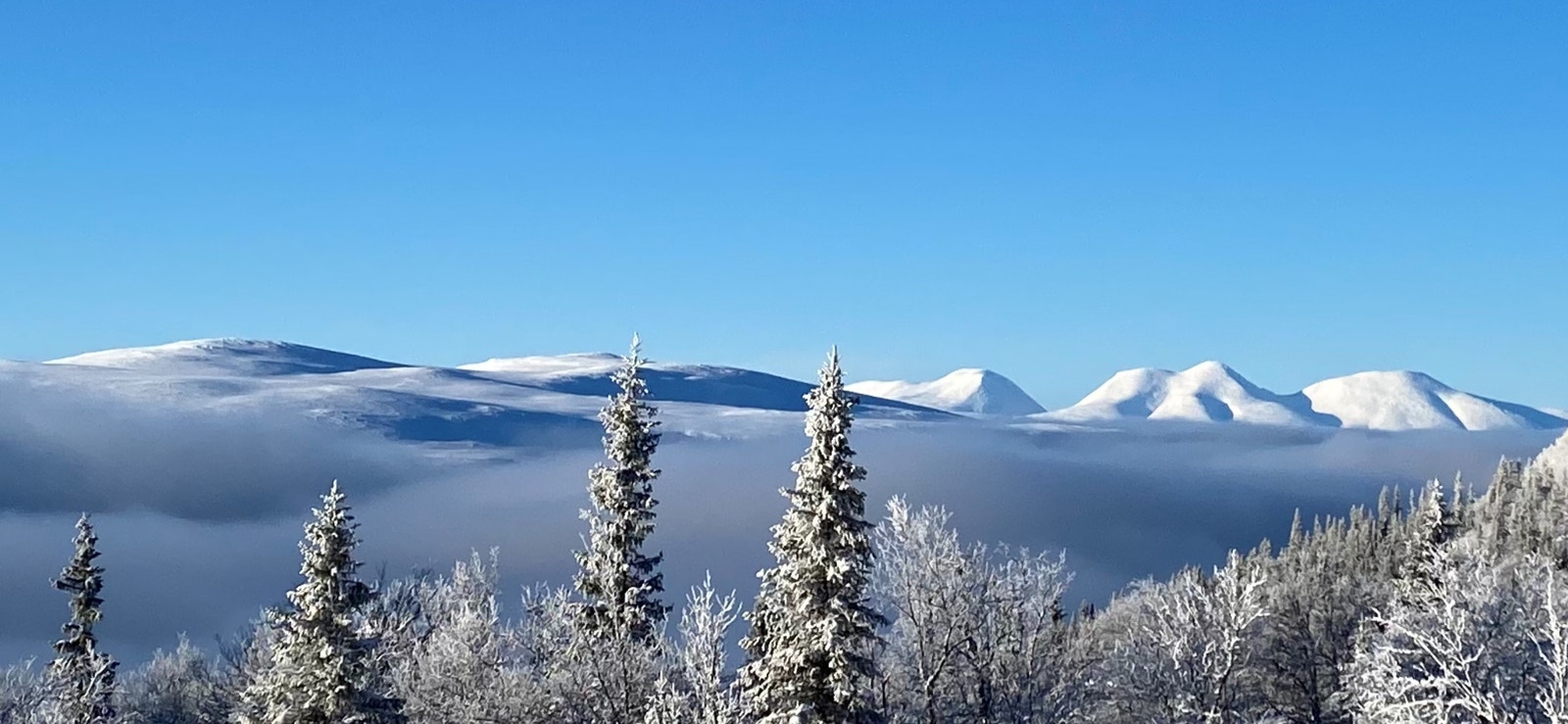 Utsikt fra feltet. Galleribilde