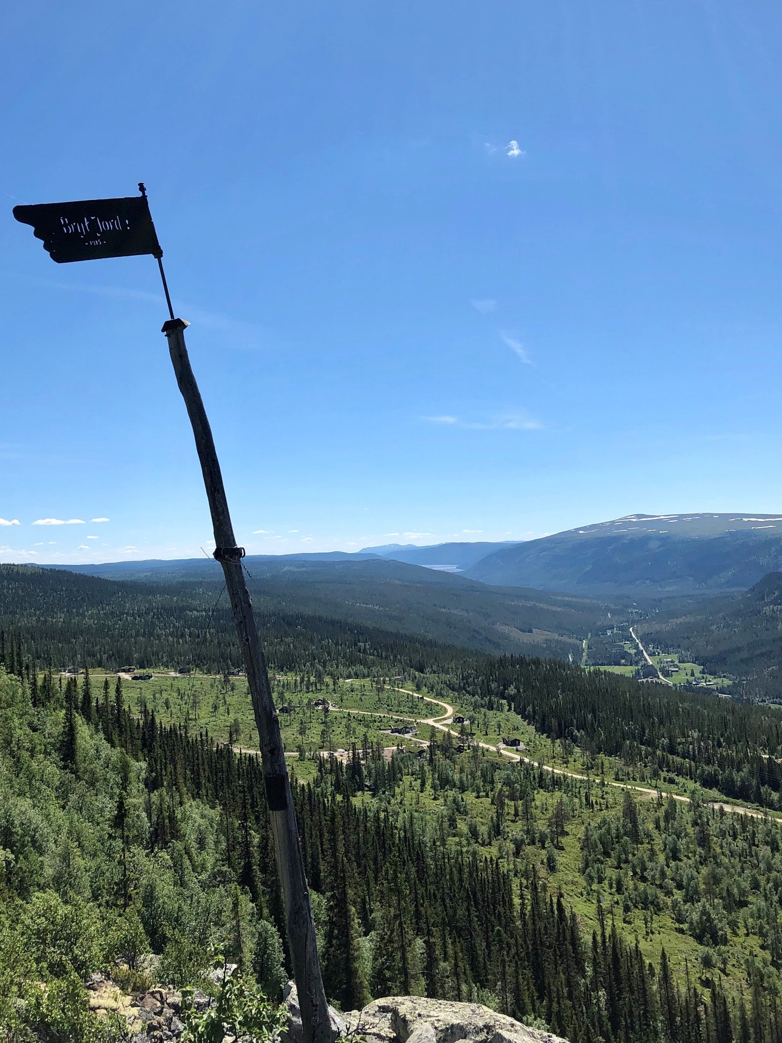 Feltet på sommer. Galleribilde