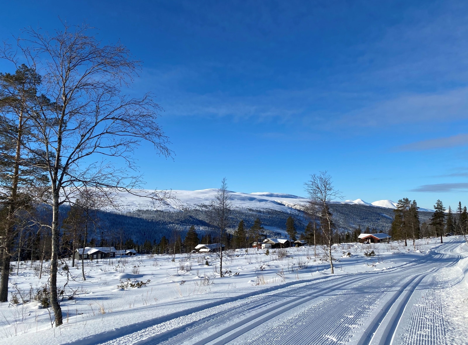 Eldorado for bortoverski. Galleribilde