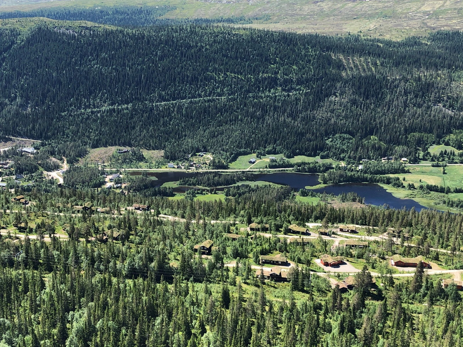 Sommer over Solheim. Galleribilde
