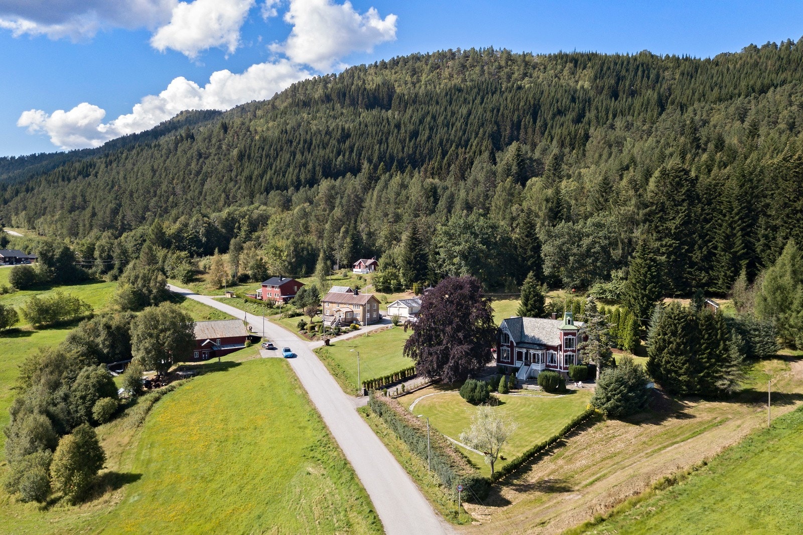 Rolig beliggenhet med edelgranskog i bakkant av hagen Galleribilde