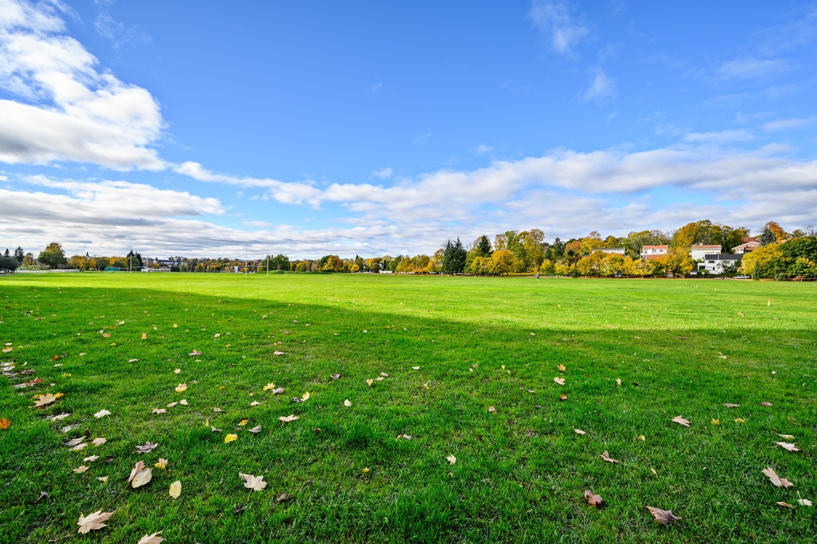 Voldsløkka med sine store grøntområder, fotballbane, sandvollyballbaner og hvor live konserter arrangeres. Galleribilde