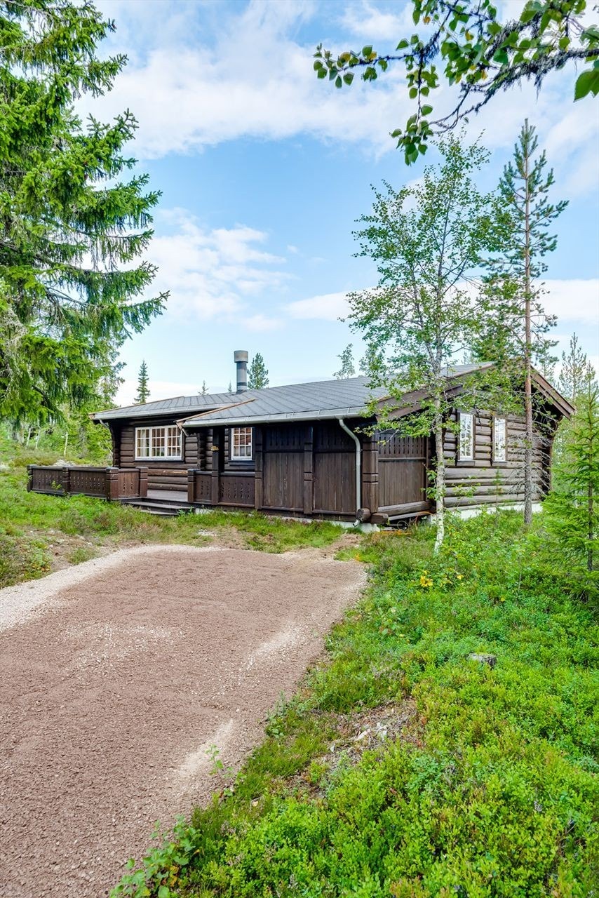 Innkjørsel helt inntil hytta med plass for parkering Galleribilde