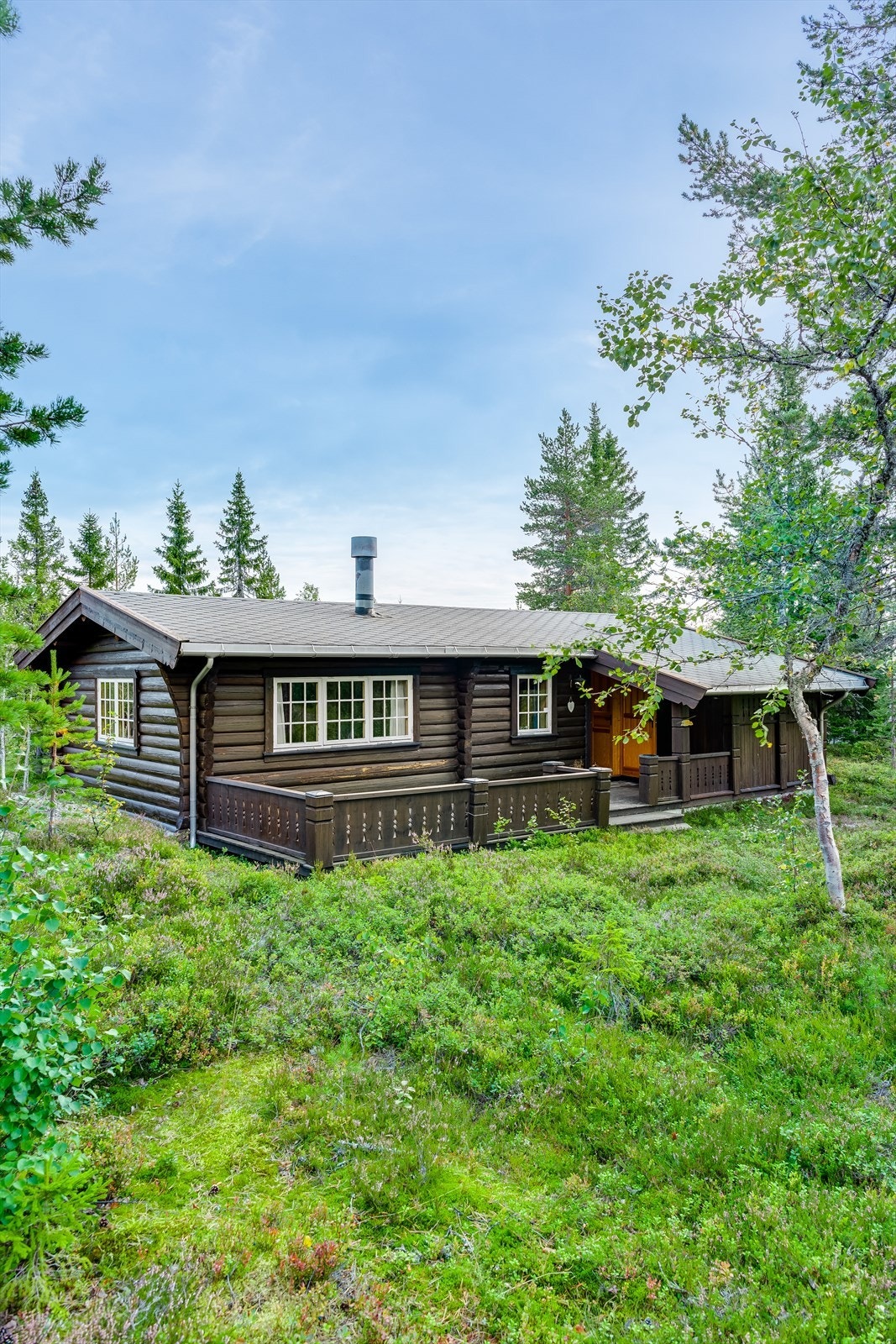 Tømmerhytte på fin naturtomt Galleribilde